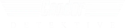 Logo Detective Condor GmbH